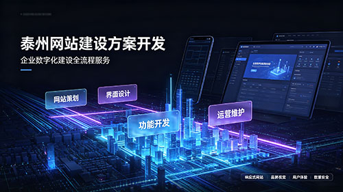 泰州網(wǎng)站建設(shè)方案開發(fā)